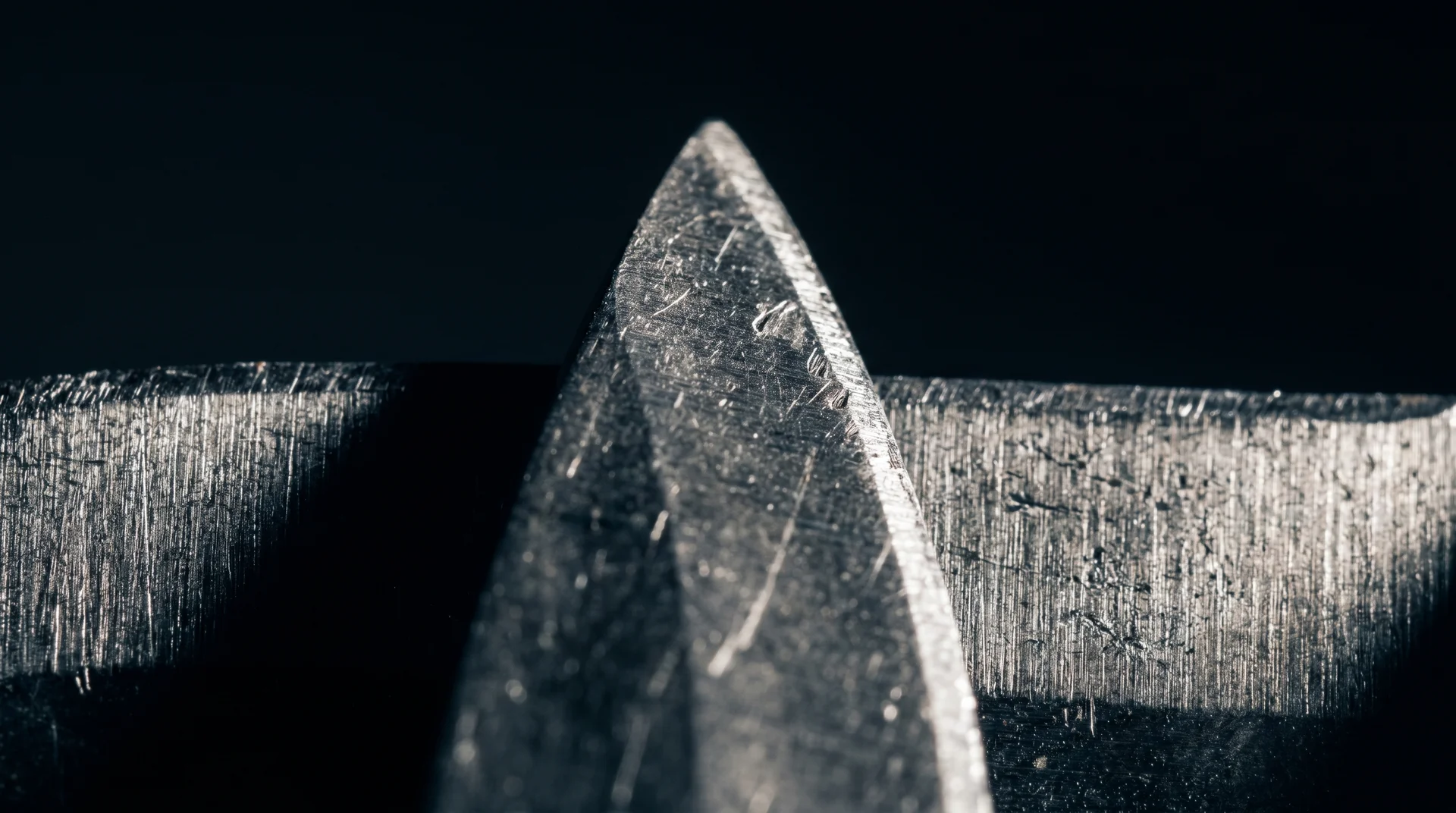Extreme close-up macro photograph of a kitchen knife cutting edge showing blade bevel geometry